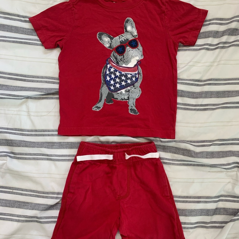 Gymboree shirt and shorts duo